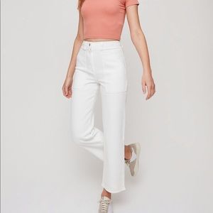 Aritzia Modern Utility Pants